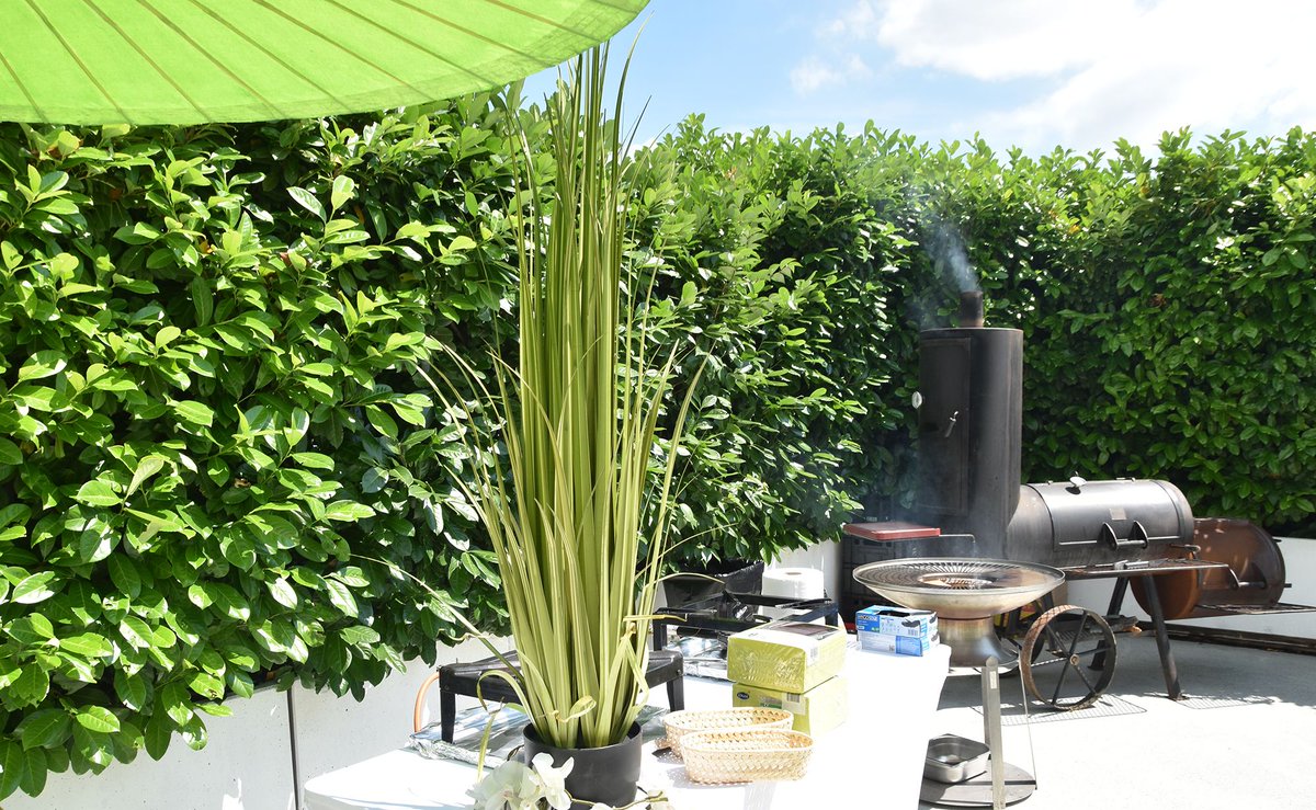 oliver_buehler's tweet photo. Outdoor Live-Events kommen. In der https://t.co/tItjJmoma1 Eventhall mit über 700m2 Outdoor-Fläche wird jeder Outdoor-Event zum Erfolg. BBQ, GRILL, CHILL, INCENTICES. What ever, how ever. #STARLITE #STARLITEeventhall #Eventlocation #Eventhalle https://t.co/373a5SAYs1