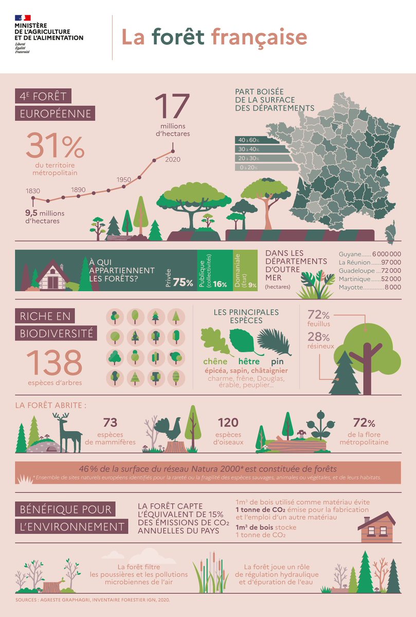 La #Forêt française en quelques chiffres 🌲🌳

Une belle infographie réalisée par le <a href="/Agri_Gouv/">Ministère Agriculture et Souveraineté alimentaire</a> avec les informations de <a href="/IGNFrance/">IGN France</a> et l'Agreste