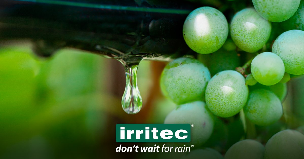 Constant flow rates and high emission precision in every part of the system: #MultibarC is the perfect solution for irrigating areas with uneven ground levels.

Find out more-&gt; irritec.com/Documents/Cata…

#irritec #irrigation #dripirrigation #vineyards #agriculture #dontwaitforrain