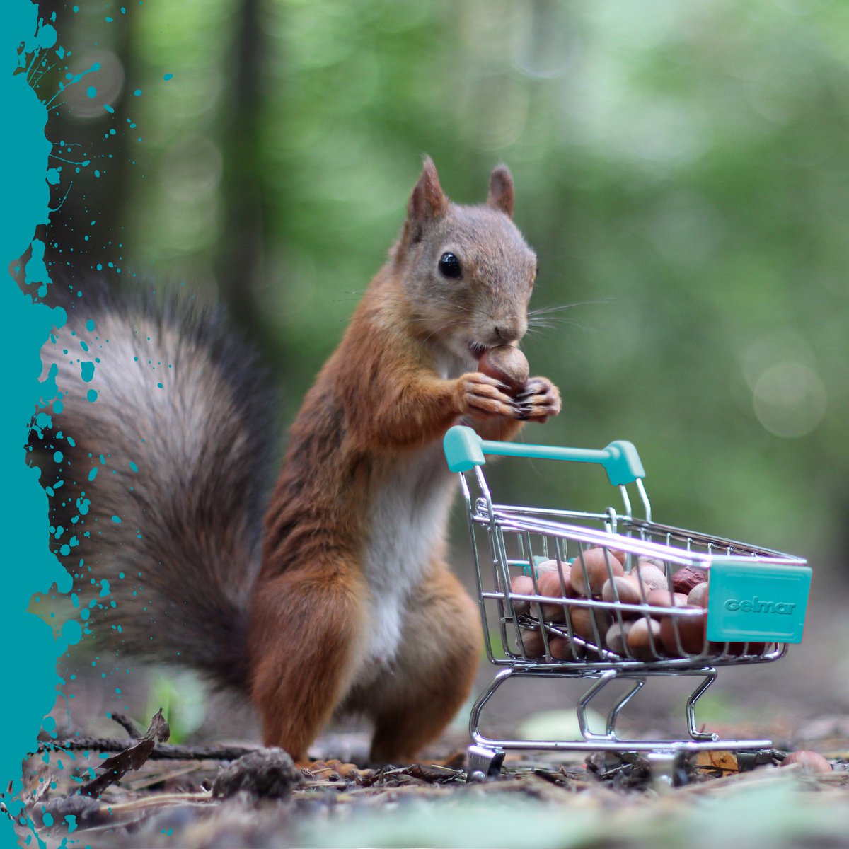 GelmarOnline's tweet photo. Whether stocking up for winter or just re-organising, we Love how versatile our new Stacking Baskets are!
Get yours here: https://t.co/ia7V6mXXD9
#SouthAfrica #Gelmar #GelmarOnline #HomeSweetHome #StackingBaskets #MultiPurpose https://t.co/srQ7Y0R9oZ