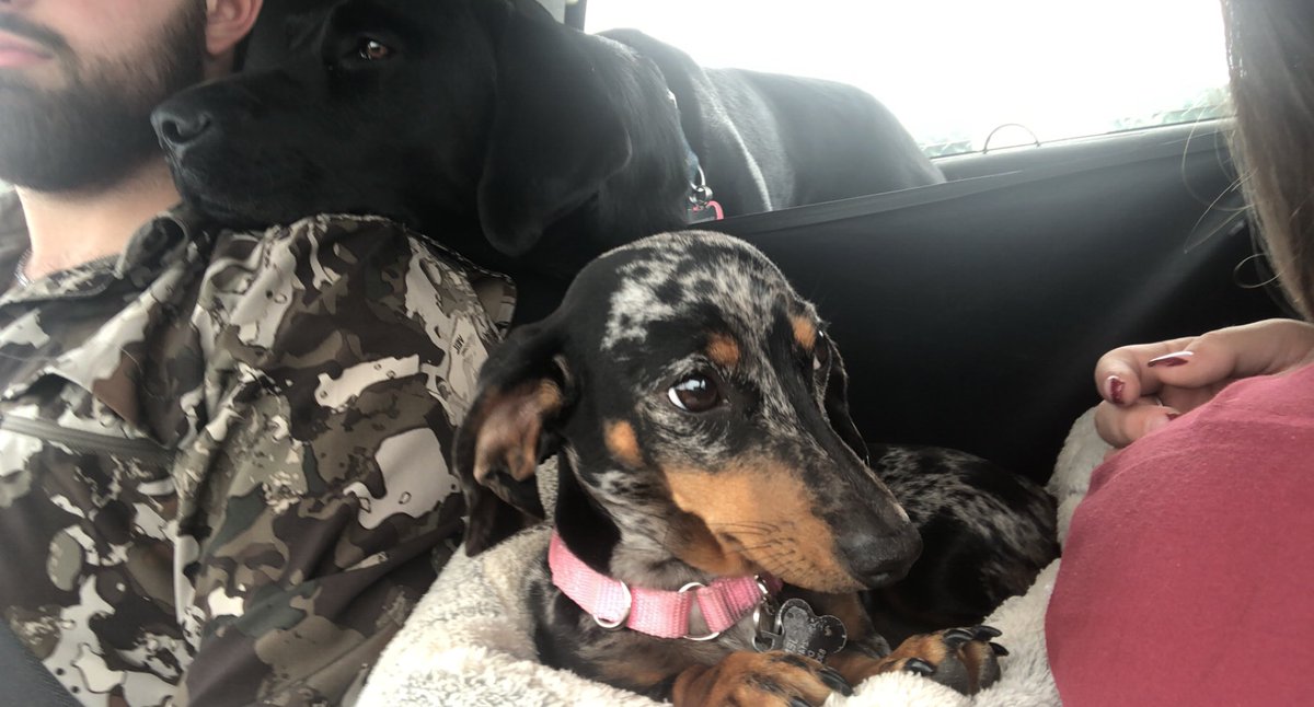 Jennaevansss's tweet photo. 15 weeks to one year 🥺 https://t.co/OsJvxtttc8