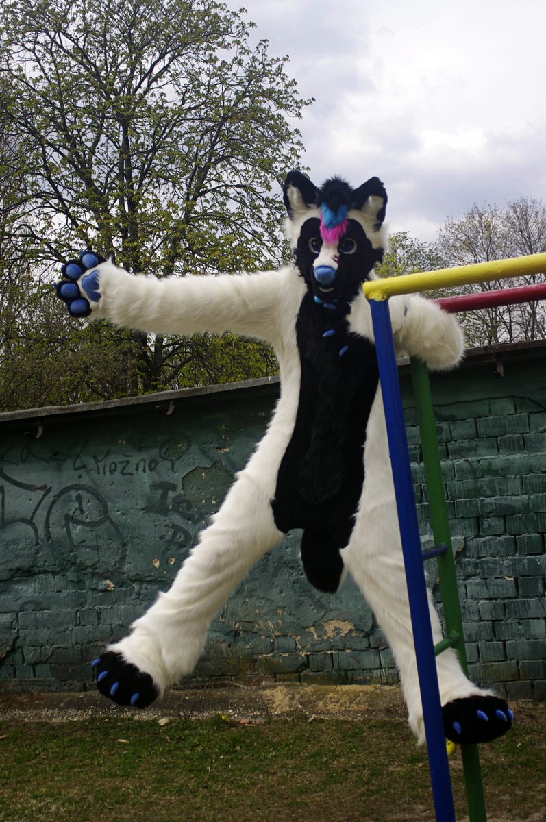 Fursuit Commision for <a href="/Ryanwuff/">Ryanwuff</a> offcially finished !
He is on his way to new home 

Had tons of fun working this cutie customer was super patient with us and super kind as well.

#furry #fursuit #fursuitmaker