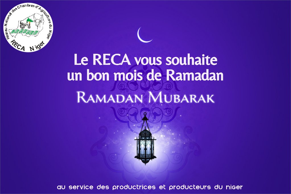 RECA Niger (@reca_niger) on Twitter photo 