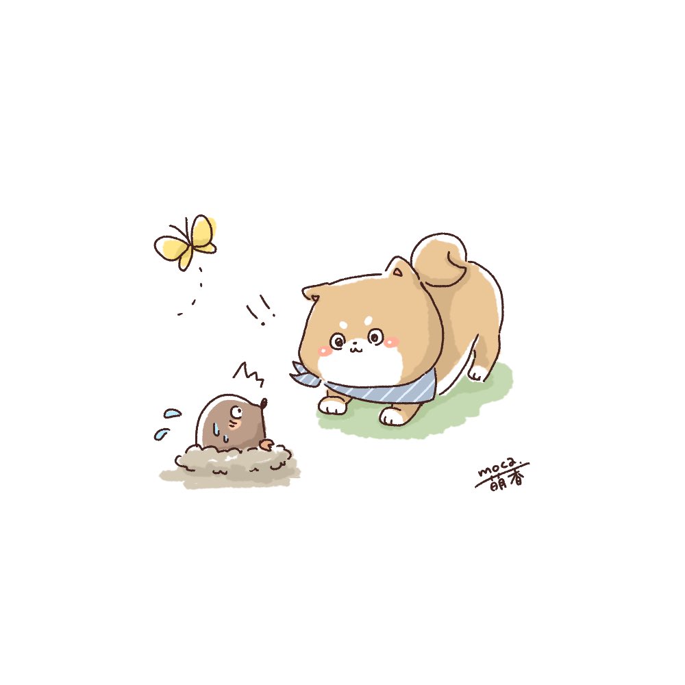 Moca 萌香イラストレーター わんこの何か見つけた時の感じすき 柴犬 フリーアイコン イラスト好きさんと繋がりたい イラスト 春の創作クラスタフォロー祭り