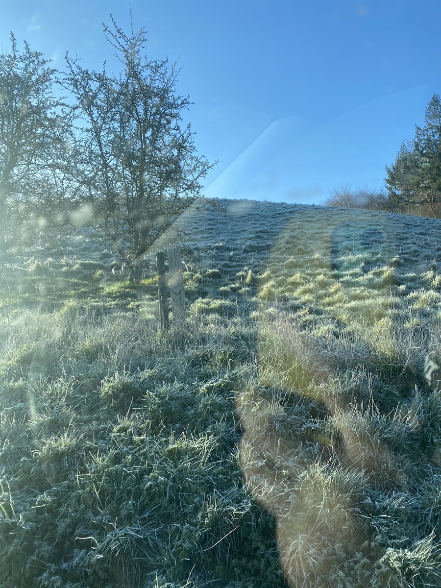 NDM_Electrical's tweet photo. Nice frosty start In sunny #Dorset 
day 2 of the re wire. Have a great day all #electrician #haveagoodday #rewire #frosty https://t.co/50ykjcIuo3