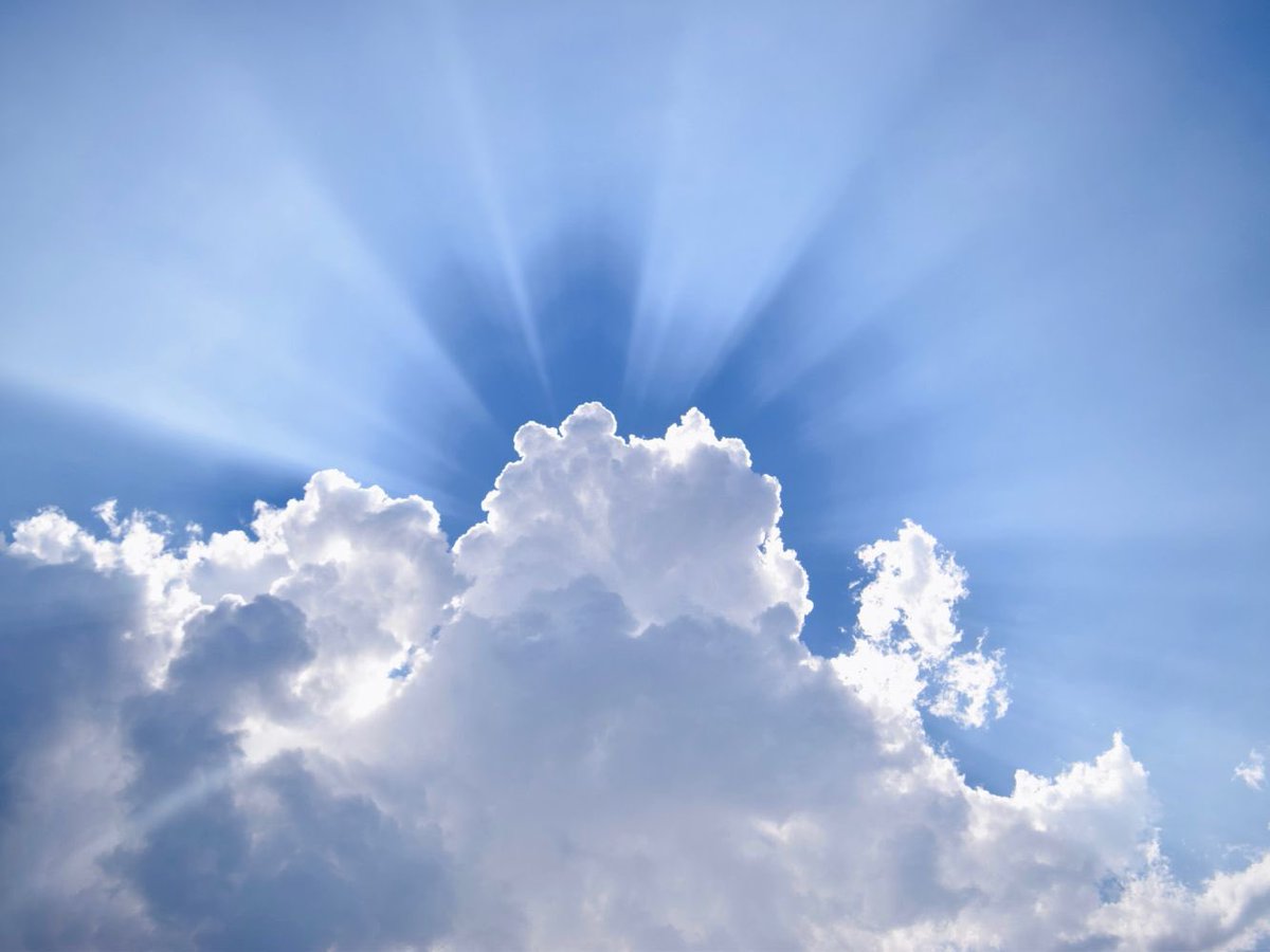 Shwan Qayrawan tweet media