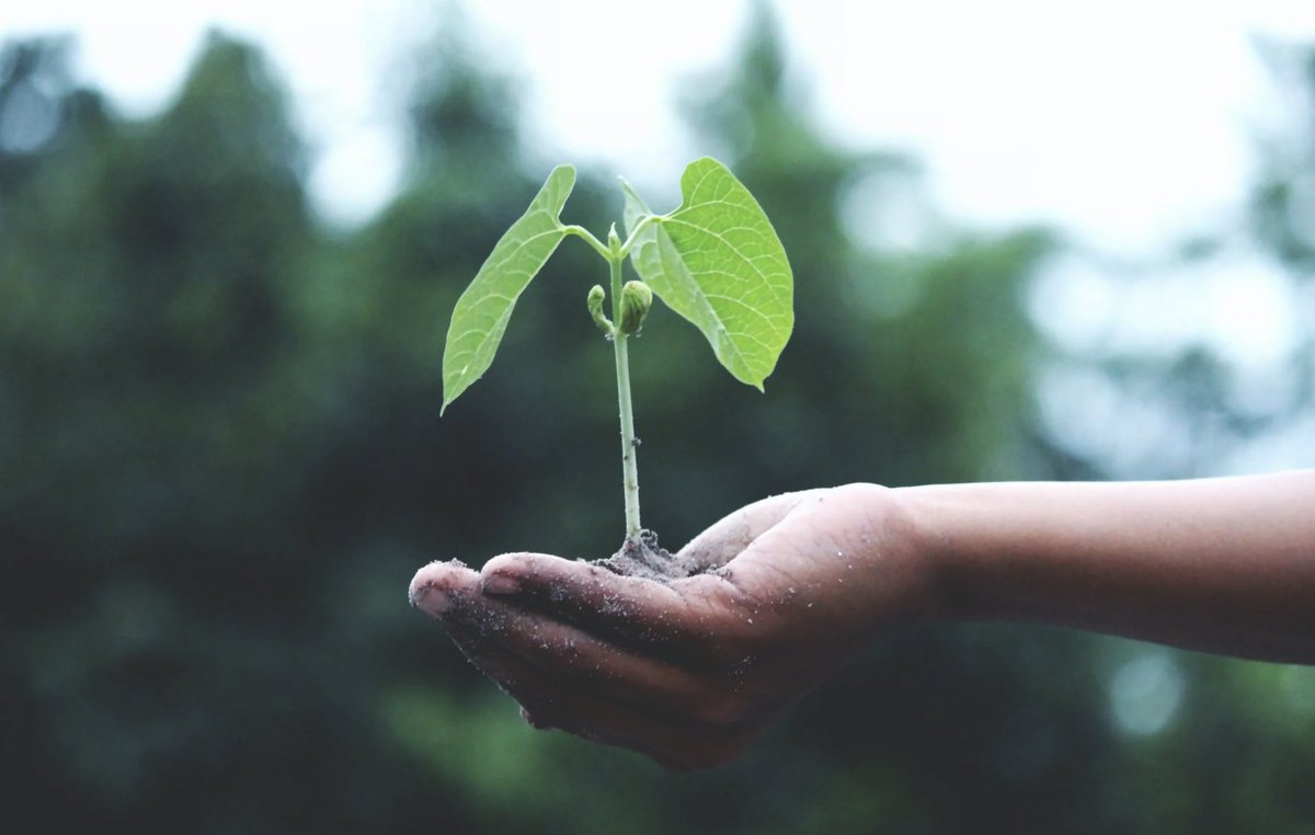Oracle_France's tweet photo. 💪Réduire son empreinte environnementale tout en réduisant ses coûts ? Un challenge réalisé par @Unilever ‼️
👀Découvrez les pratiques et la technologie qui ont contribué à ce résultat
👉lire :https://t.co/fTfh0i8t8W
#AdaptiveLogistics #TransportationManagement #durabilité https://t.co/yoMSUIZf6e