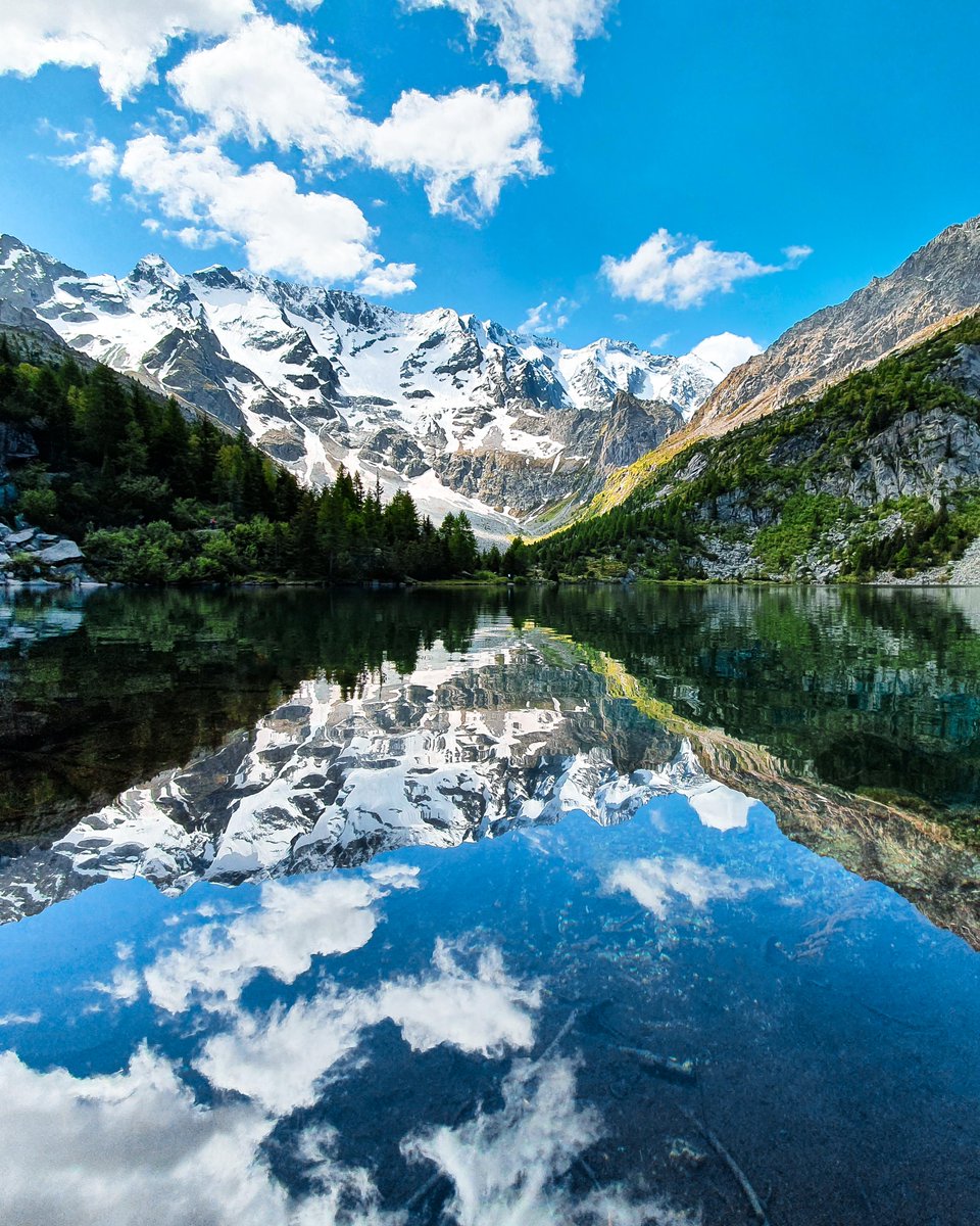 GoPro Japan tweet media