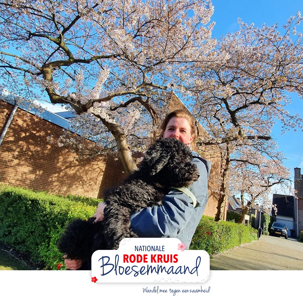 Leg je wandeling tijdens de Rode Kruis Bloesemmaand vast op camera! Plaats deze op je social media en gebruik #Bloesemmaand. Zo kunnen wij en andere wandelaars van je foto's meegenieten! Kijk op: rodekruisbloesemmaand.nl/inspiratie/fot…