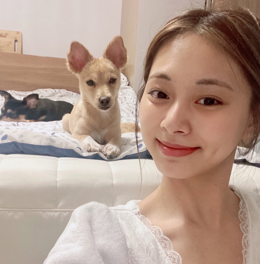 Ey2LW4yUYAI3E8U?format=jpg&name=medium