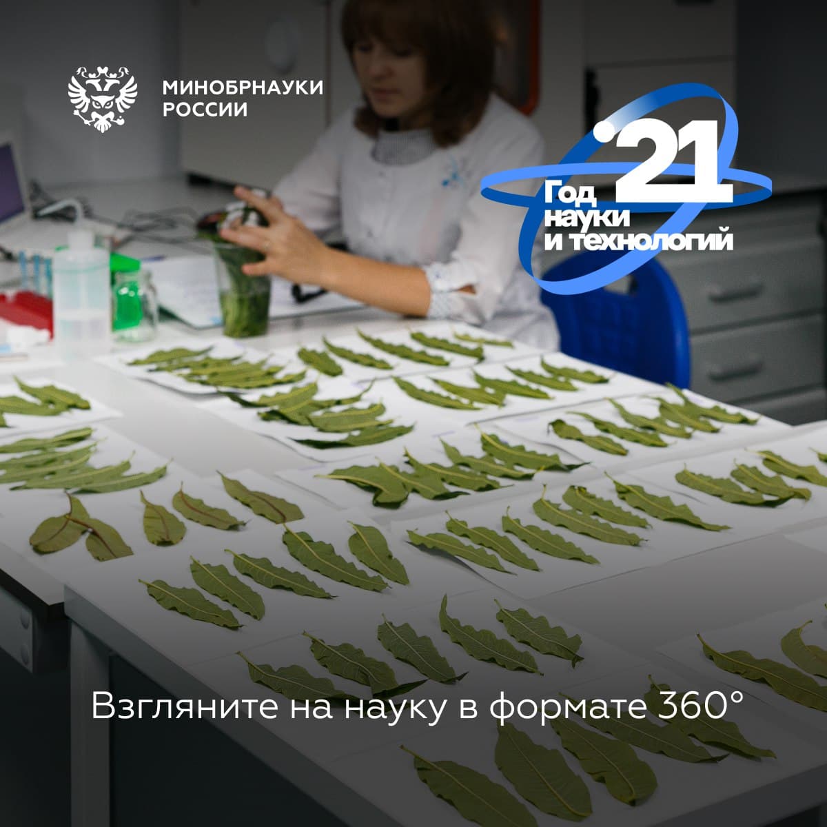 Заработал сайт онлайн-экскурсий по ведущим научным лабораториям страны.

Прогуляться по лабораториям, где работают с вирусами и генами, познакомиться с ведущими российскими учеными, посмотреть на установки, разгоняющие частицы до невероятных скоростей… t2p.pw/ZfiK65n33x