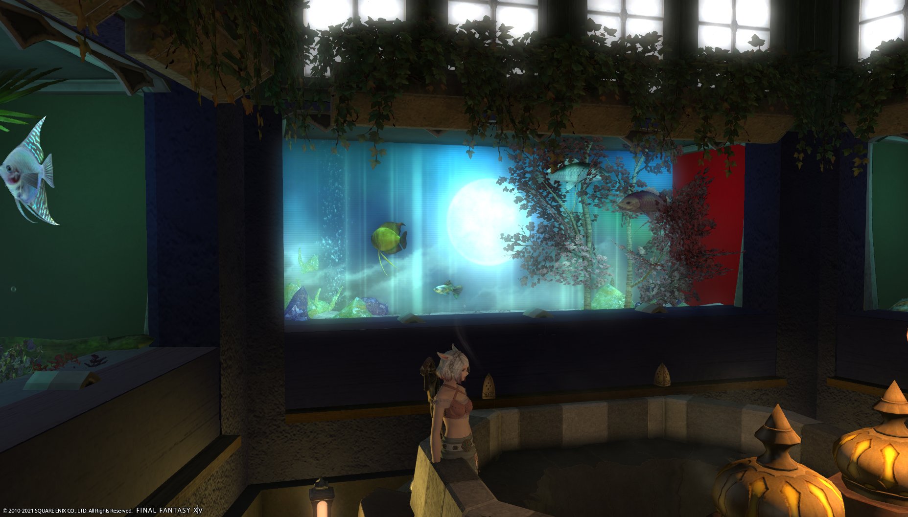 ふぇっちん Hades 新しい薄型テレビは水槽の背景に入れても雰囲気が出ていいわ Ffxivhousing Ff14ハウジング ふぇっちん Hades 新しい薄型テレビは水槽の背景に入れても雰囲気が出ていいわ Ffxivhousing Ff14ハウジング
