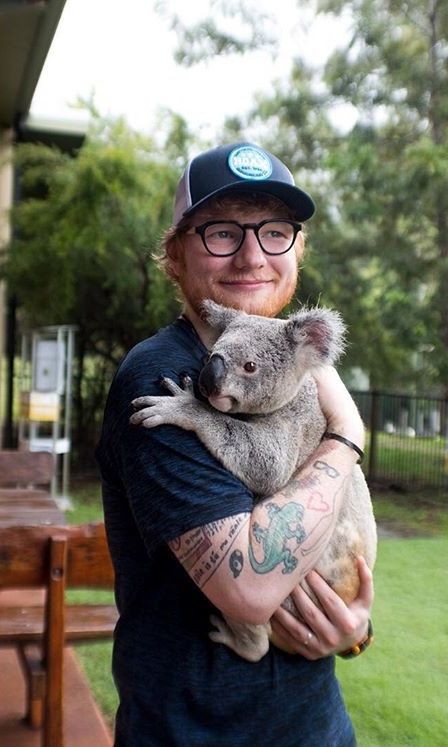 @luveIytae guys forget about this and look at our boy Ed Sheeran he is looking so cute uwu😍😍😍😍