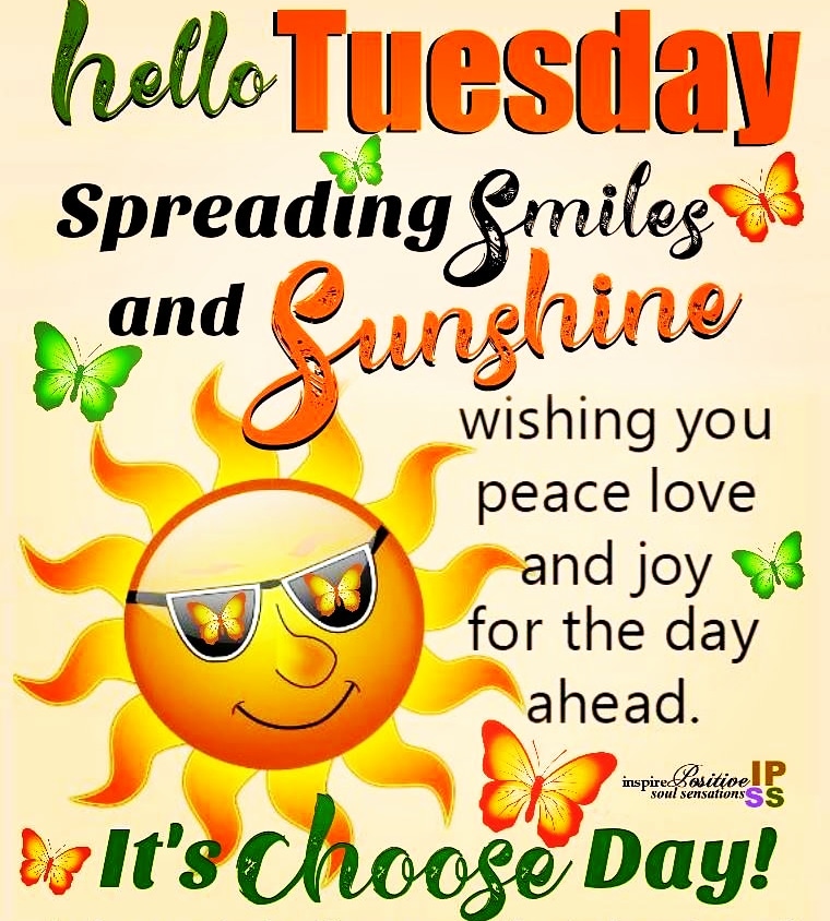 Have a great Tuesday! Choose how to spend yr Tuesday. Mulling over things U can't change or chose things that lift U up. There's always a choice. 'Choose Tuesday' to be happy!💖
#Tuesday #tuesdayvibe #tuesdaymotivations #HappyTuesday #choosetuesdaytobehappy #choosetobehappy 💖💖
