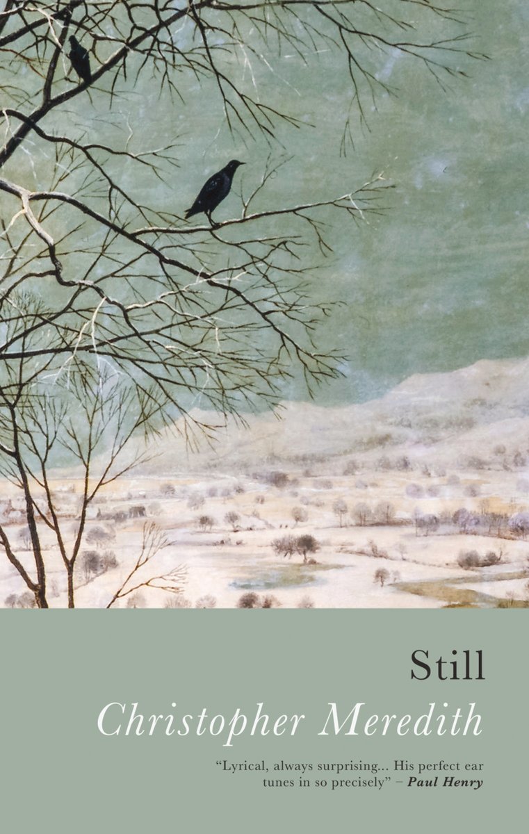 SerenBooks's tweet photo. Available now: #ChristopherMeredith's unique double!
"Lyrical" poetry collection 'Still' and "wry, witty and wicked" tragicomic short novel 'Please'. Buy the pair for only £15.00 on our website https://t.co/W9YnZ85OTc.
Join us for the launch at @CardiffPoetry this weekend! https://t.co/H8zoYVbGaB
