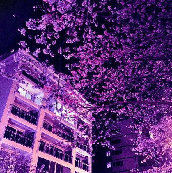 •💜ФИОЛЕТОВАЯ ЦЕПОЧКА ТВИТТЕРСКИХ💜•
Хей, давайте поможем друг другу поднять активность #цепочкатвиттерских

•💷читай меня(взаимно)

•🍇лайк и рт этот твит

•💷читай ретвитнувших

•🍇будь взаимен

•💷жди новых читателей😌

#цепочкафолловеров
#Взаимныеподписки