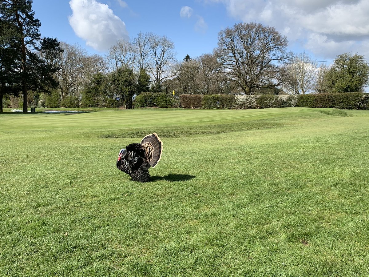 We had an unexpected visitor yesterday