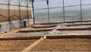¿Conoces <a href="/LIFEagremsoil/">LIFE AgRemSO3il</a> ? Es un proyecto europeo para la descontaminación agroquímica de suelos agrícolas. En el trabajan los socios de <a href="/AgritechMurcia/">AgritechMurcia</a>: <a href="/Novagric/">Novagric</a> <a href="/imida_murcia/">IMIDA Murcia</a> <a href="/CEBAS_CSIC/">CEBAS-CSIC</a> más 👉 agritechmurcia.com/proyecto/desco…
