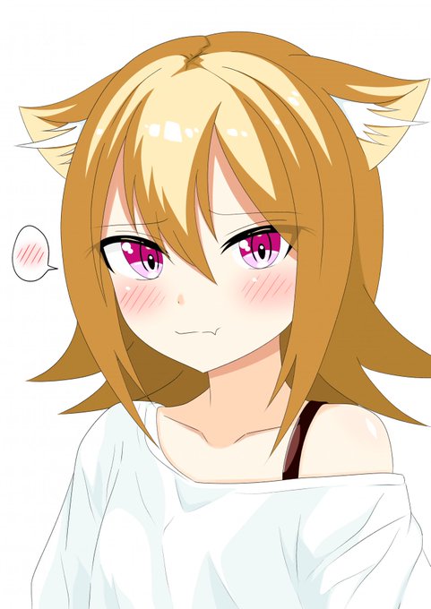 新しい服のぬこ 