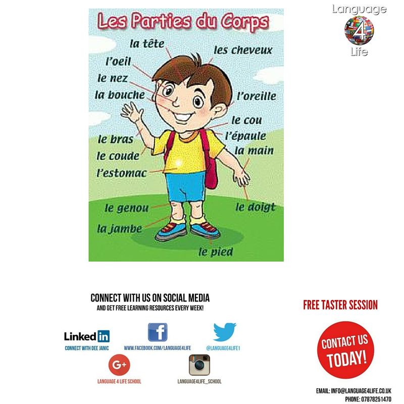 Language4Life1 tweet picture