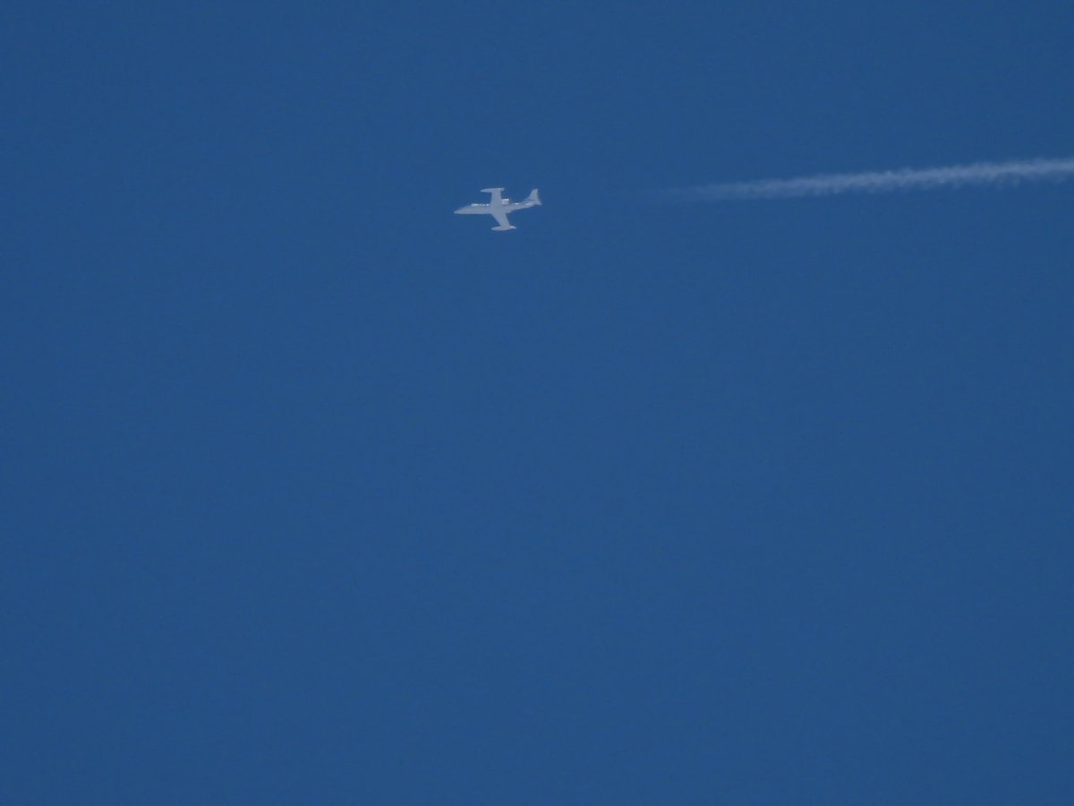 EHEH_Spotter's tweet photo. ๐บ๐ธUnited States Air Force Boeing C17A Globemaster III (01-0186) - 436th / 512th Airlift Wing ''Dover'' - as U.S. Air Mobility Command flight #RCH802 @ FL330
๐บ๐ธUnited States Air Force - Gates Learjet C-21A (84-0083) as flight #VALOR42 @ FL300
#NLspot #avgeek #USAF https://t.co/DFdAwhR9oI