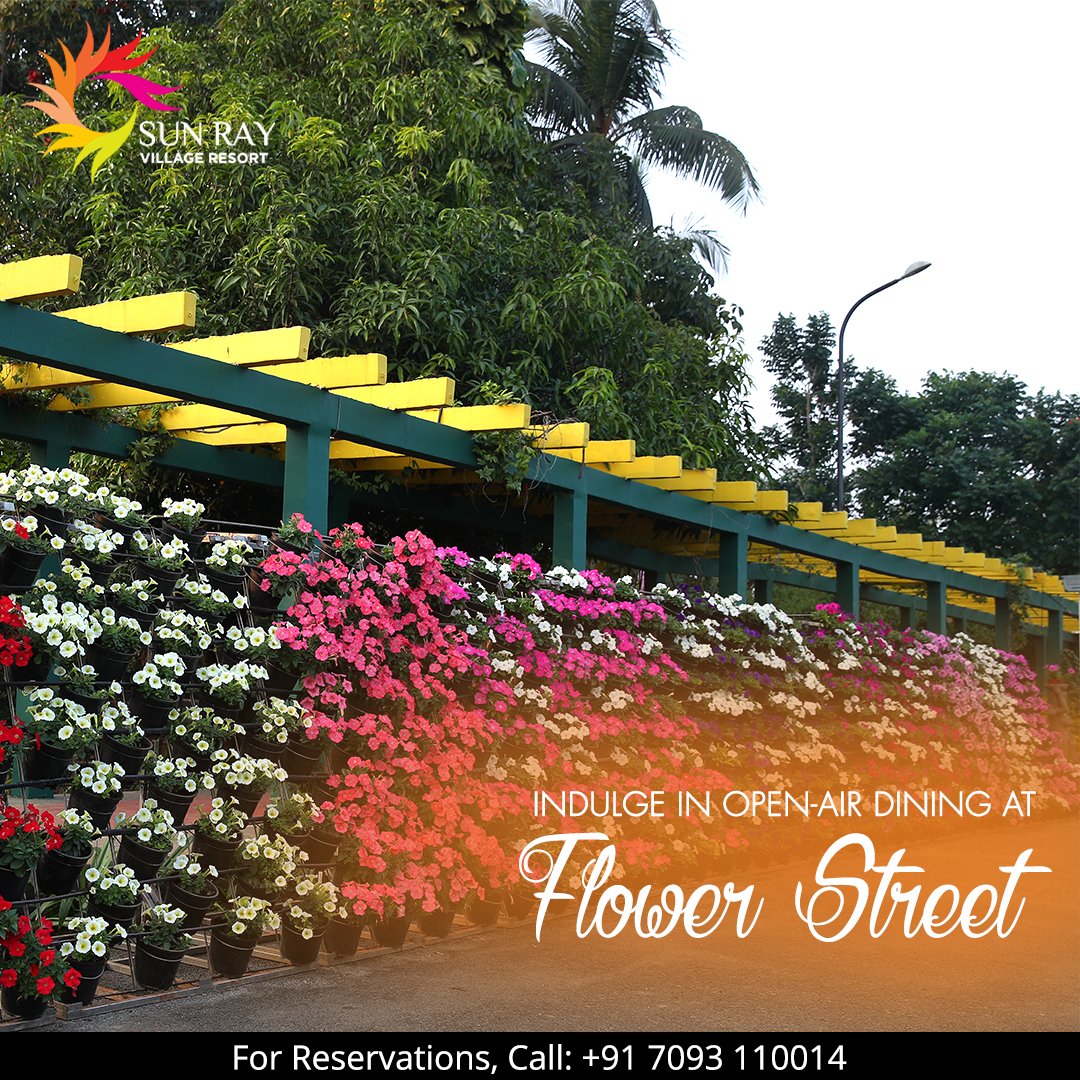 sunrayvillage's tweet photo. A unique, open-air dining experience at #FlowerStreet awaits you!

With lip-smacking #food, flavourful #cocktails &amp; #mocktails it’s time for you to come along with your loved one &amp; indulge in a #romanticmeal beneath #openskies.

For reservations: +91 7093 110014

#Sunray #Dining https://t.co/vU3LbuMTcB