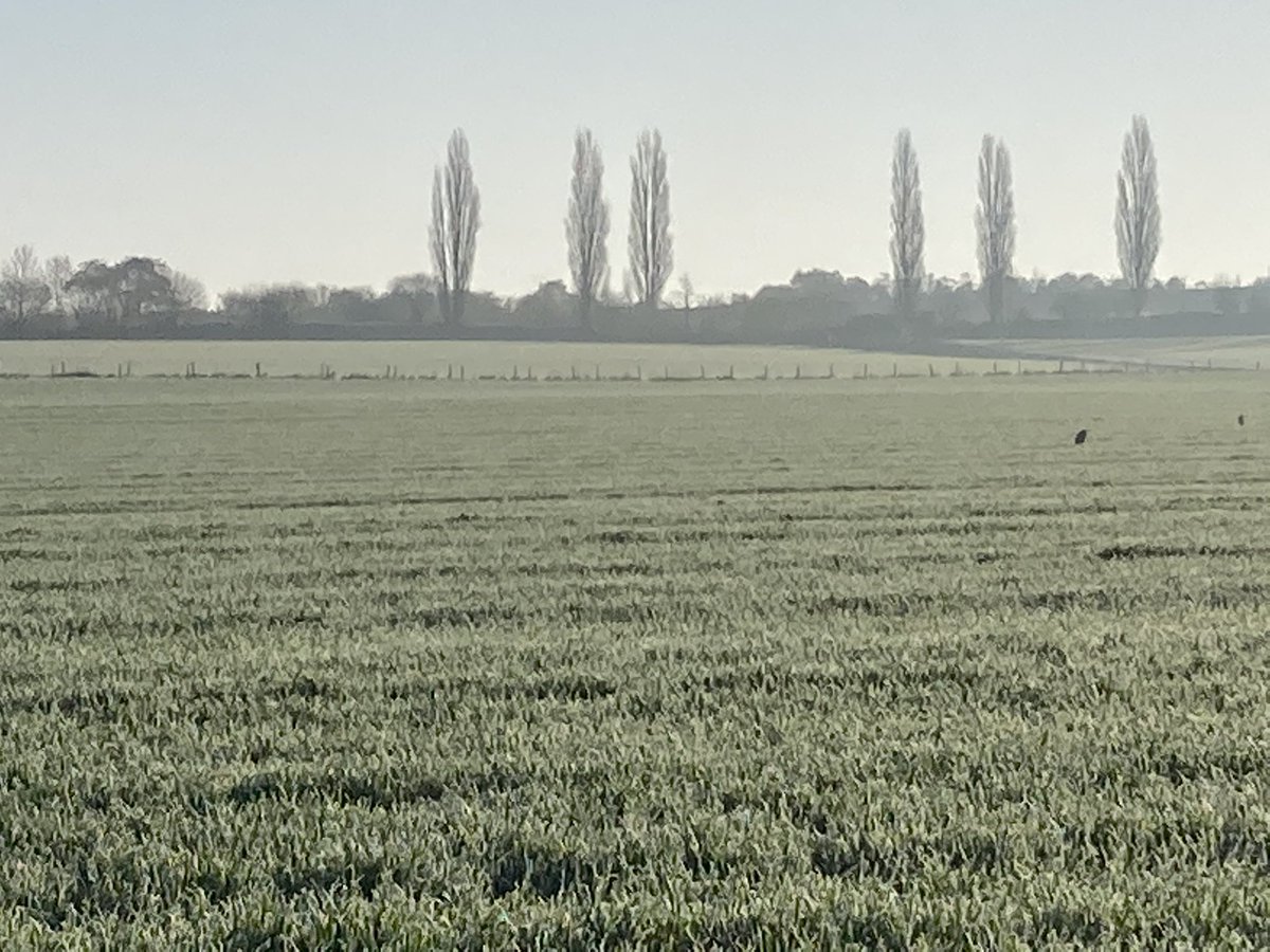 Mooie ochtend in Wittem! <a href="/magnifiekZL/">Magnifiek Zuid-Limburg</a>