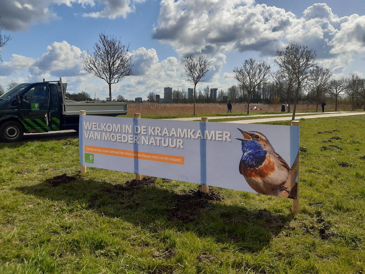 BoswachterDick's tweet photo. Verdronken populieren bosje bij de Zevenhuizer- plas nu ook kraamkamer van moedernatuur. #kraamkamernatuur Geniet, maar betreed het gebied met rust en respect. #GroeneMetropool https://t.co/wncXFW7Wsg