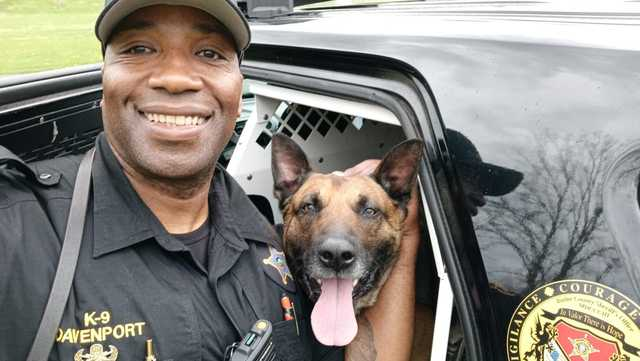 On Patrol K9 tweet media