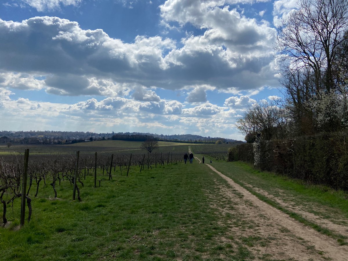 Lois Hill (@coopmpepsom) on Twitter photo Great to be at denbies for <a href="/SightforSurrey/">Sensory Services by Sight for Surrey</a>'s first event back after lockdown! Brilliant day for a walk. Great to be at denbies for <a href="/SightforSurrey/">Sensory Services by Sight for Surrey</a>'s first event back after lockdown! Brilliant day for a walk.