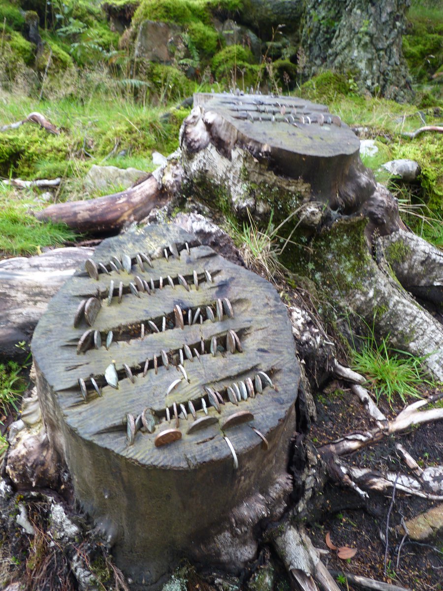 SanjeePerera1's tweet photo. I'm always fascinated by how we shape motifs of the #sacred and anthropomorphise, ritualise & embody the elements. Here's an excellent paper on #CoinTrees in Britain & Ireland by @CeriHoulbrook
#Windemere #HolyWells #StFeichin #Folklore #folklorethursday
https://t.co/EBwXxuTDNL https://t.co/DuvMXENCwN