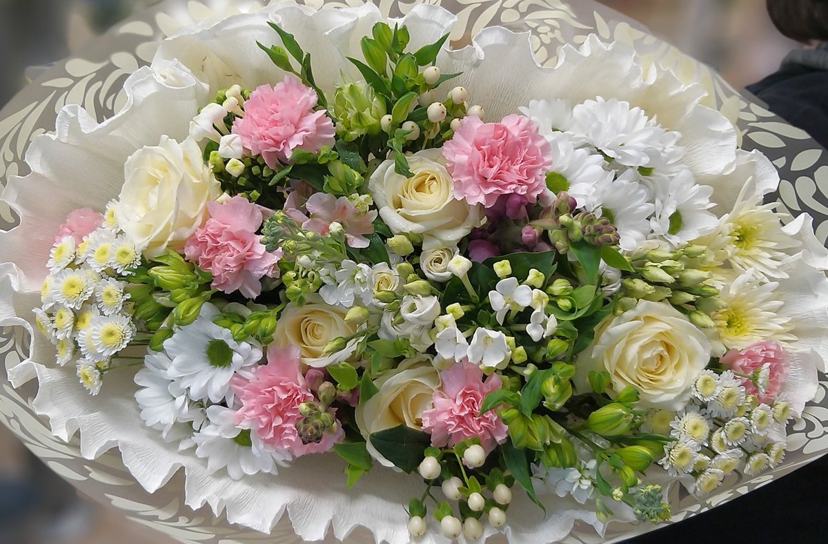 flowersbysian1's tweet photo. https://t.co/zFsNa7pbUa