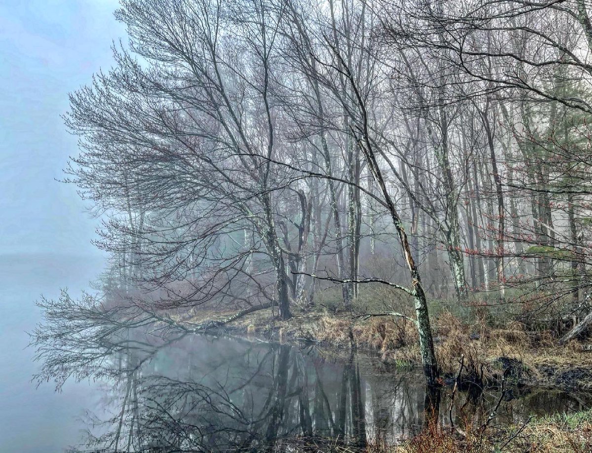 UrbanrunningNYC's tweet photo. #dramatic #sunrise #run #running #catskills #catskillsmountains  #runningmotivation #runners #runnersofinstagram #runningismytherapy #runner #runhappy #runcatskills #greekrunners #runningblog #runningcommunity #runnersoftheworld #runcommunity #runnersworld #photography https://t.co/TxOFJh2xWX