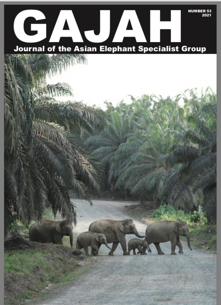 gajah26's tweet photo. The new issue of Gajah, the journal of the IUCN Asian Elephant Specialist Group, is now available online at:
https://t.co/xNM9jLxyDI

#Elephant #AsianElephant #Gajah #AsESG @IUCN @vivek4wild https://t.co/HDsOms90dw