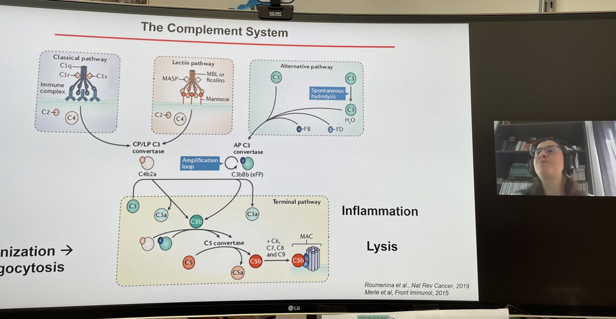 I am enjoying #ComplementSystem lecture from such the expert colleague @roumenina! I will finally understand this!!! Thanks to @parcc_inserm seminar series