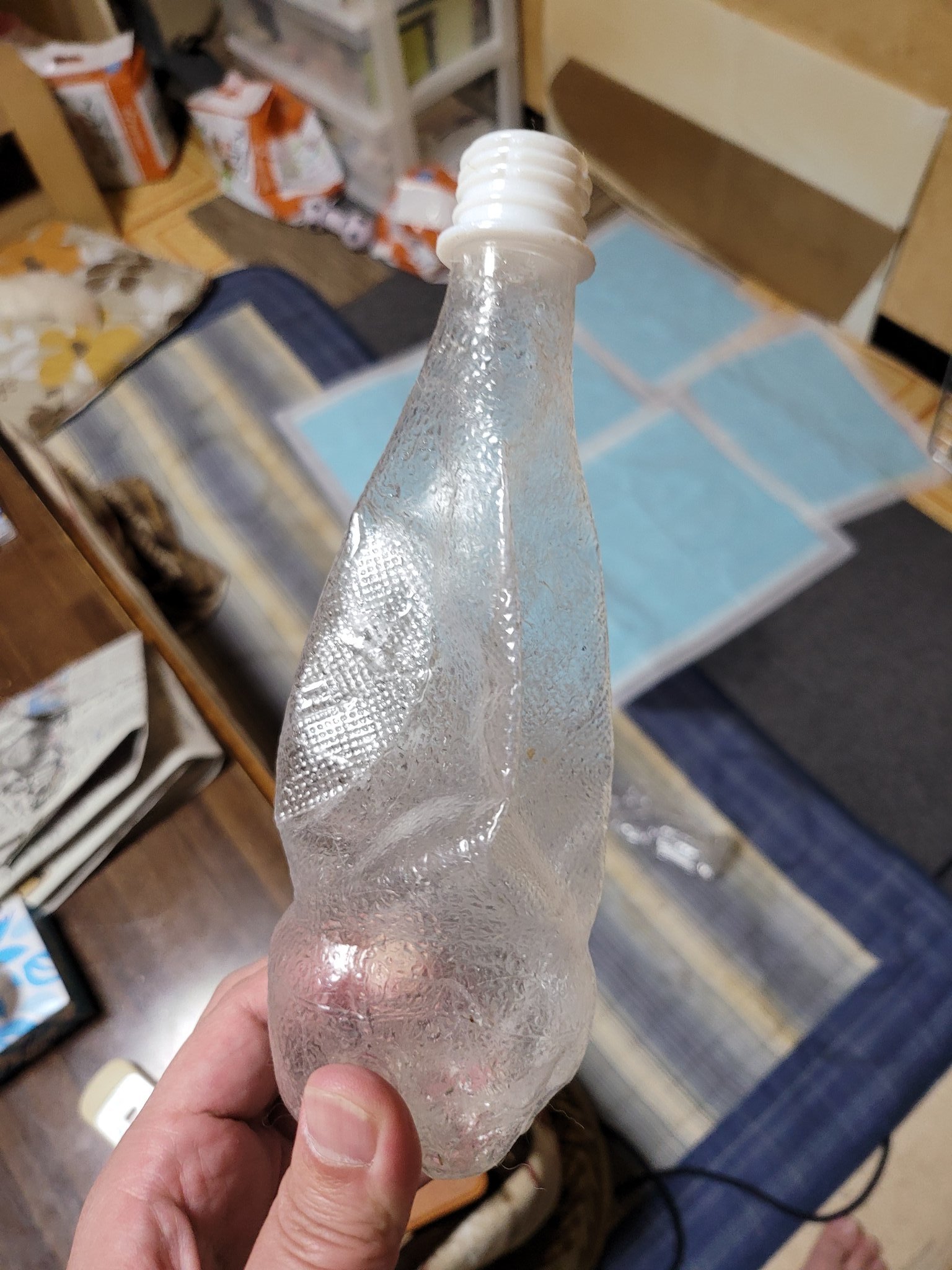 かになべ ペット大好き 犬ちゃん オランジーナのペットボトルを壊すのすき ペコペコ T Co Fchtabwemp Twitter