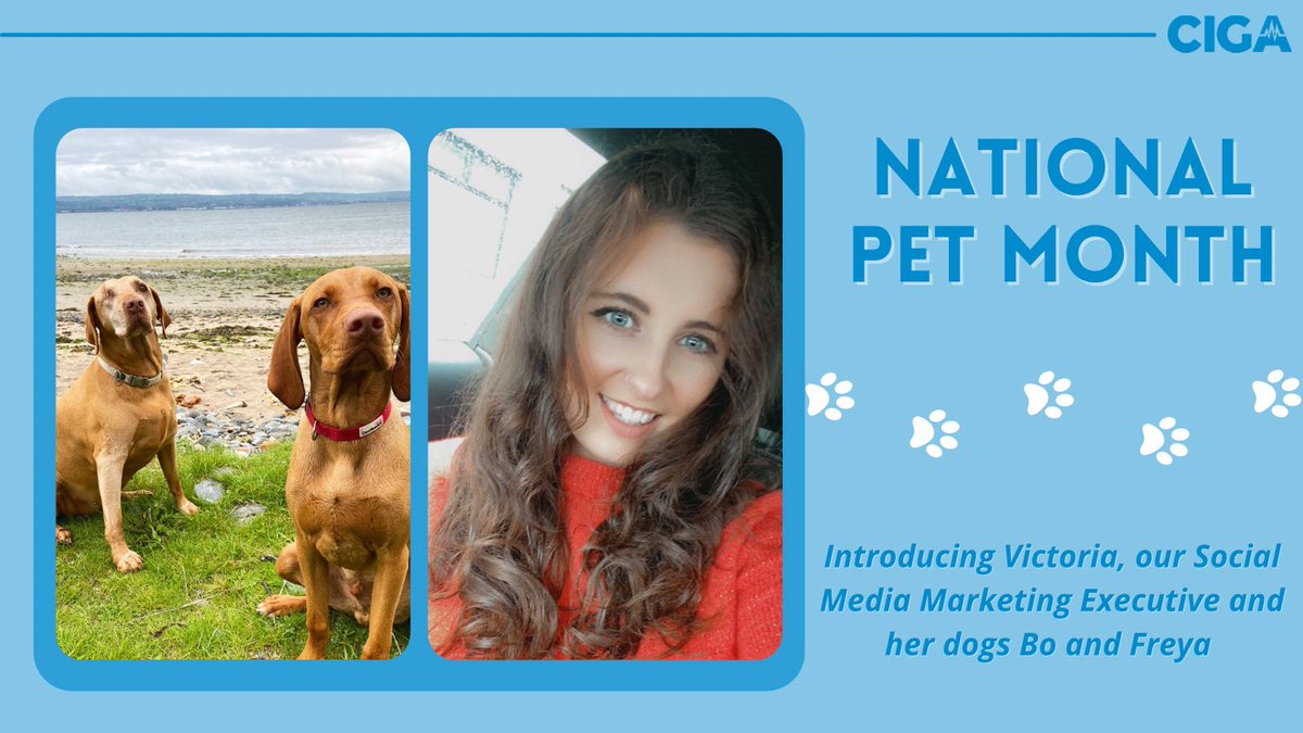 #NationalPetMonth 

Victoria is our Social Media and Marketing Executive. Her job ensures that you are all kept entertained and informed by our social media platforms. ✨
 
Freya and Bo are Hungarian Vizslas. Have you heard of this breed before? 🐶 

#staffappreciation #petmonth