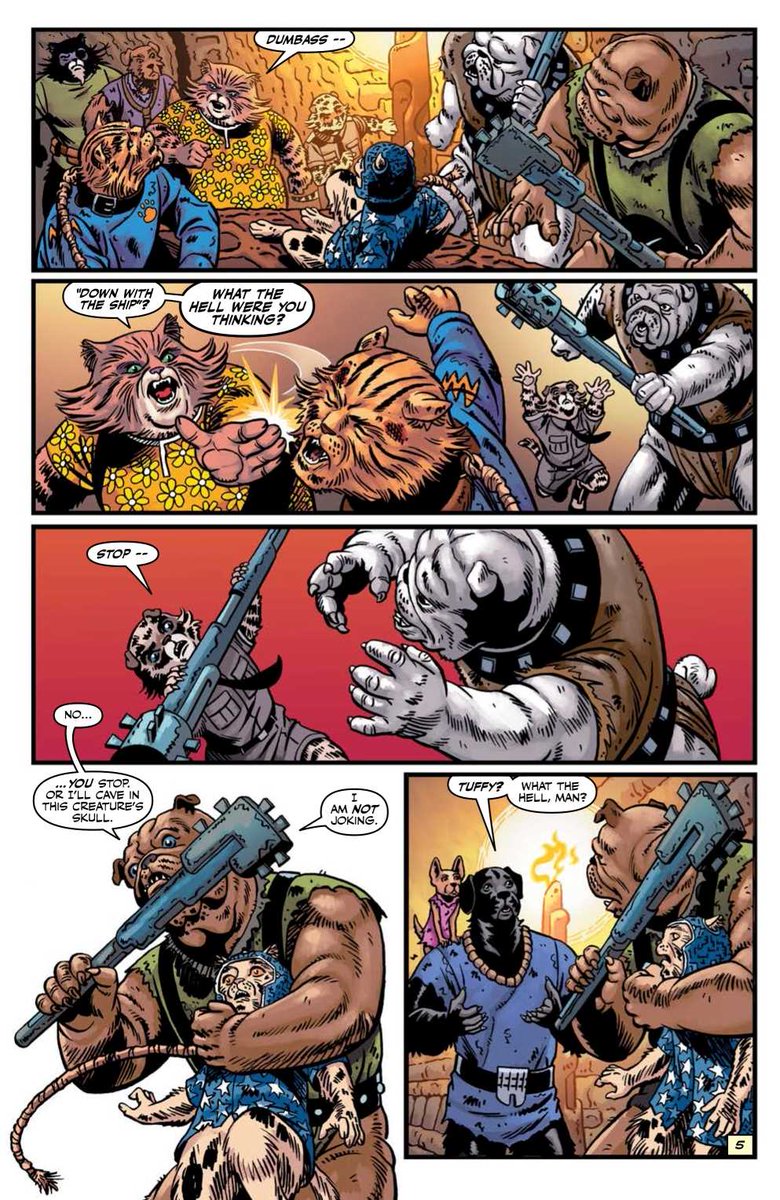 Fusselschwarm's tweet photo. The Cats are back in space! And this time they must face their deadliest enemies: Dogs.🙀🚀
CAPTAIN GINGER Vol. 2 by @stuartmoore1 and June Brigman from @AhoyComicMags is in stock now: https://t.co/4mA0JKuQIT