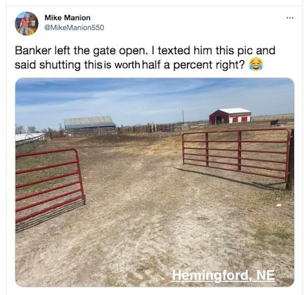FarmTank's tweet photo. FarmTank Tweet of the Day!

Congrats to @PazourDrew @Campbellgrain @DerrickJosi and @MikeManion550 for being featured in @KevinVanTrump report! 

#FarmTank #FarmTankFriday #VTR #Corn #Agriculture #Soybean #AgTwitter #wheat #plant21 @JVTknows https://t.co/3A1kxOjDVi
