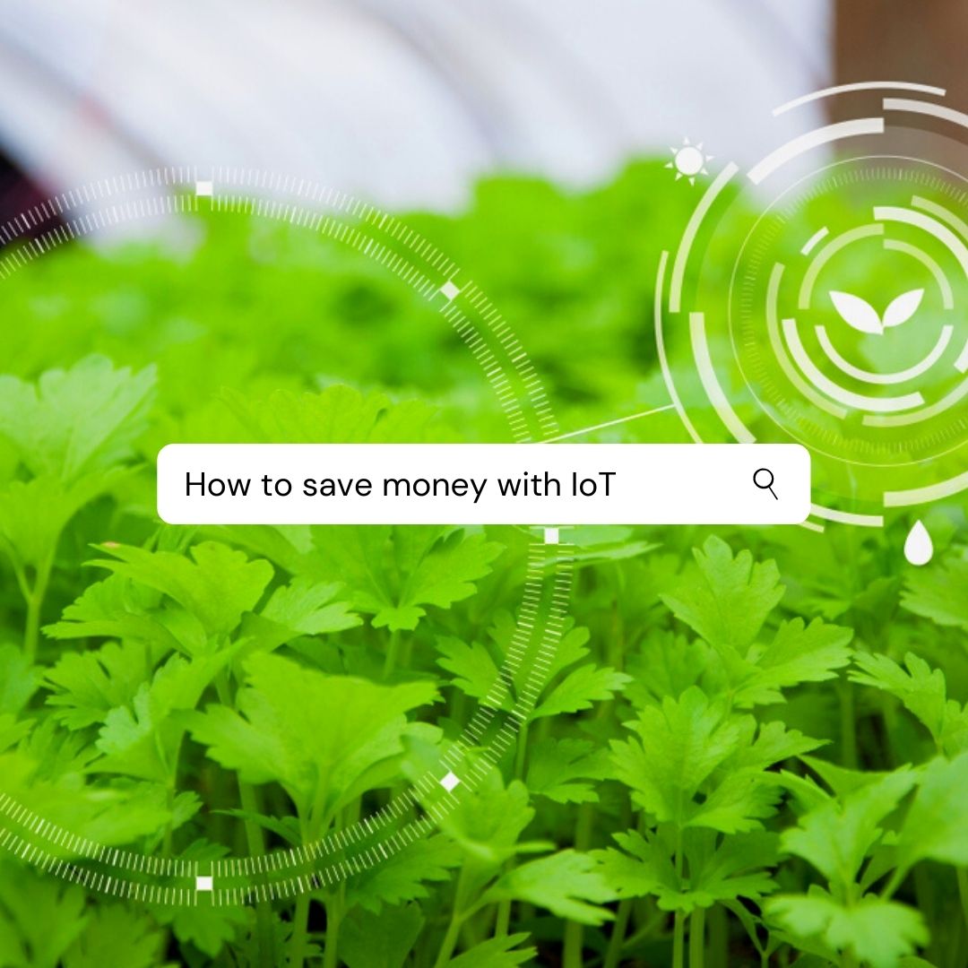 DataSolutionsG1's tweet image. Gain valuable insight through IoT systems from large to small. DSG IoT systems are custom built to meet your exact needs. #iot #internetofthings #iiot #iomt #smartdevices #analytics #data #edgecomputing #digitaltwinhttps://www.dsgwireless.com/iot-solutions/