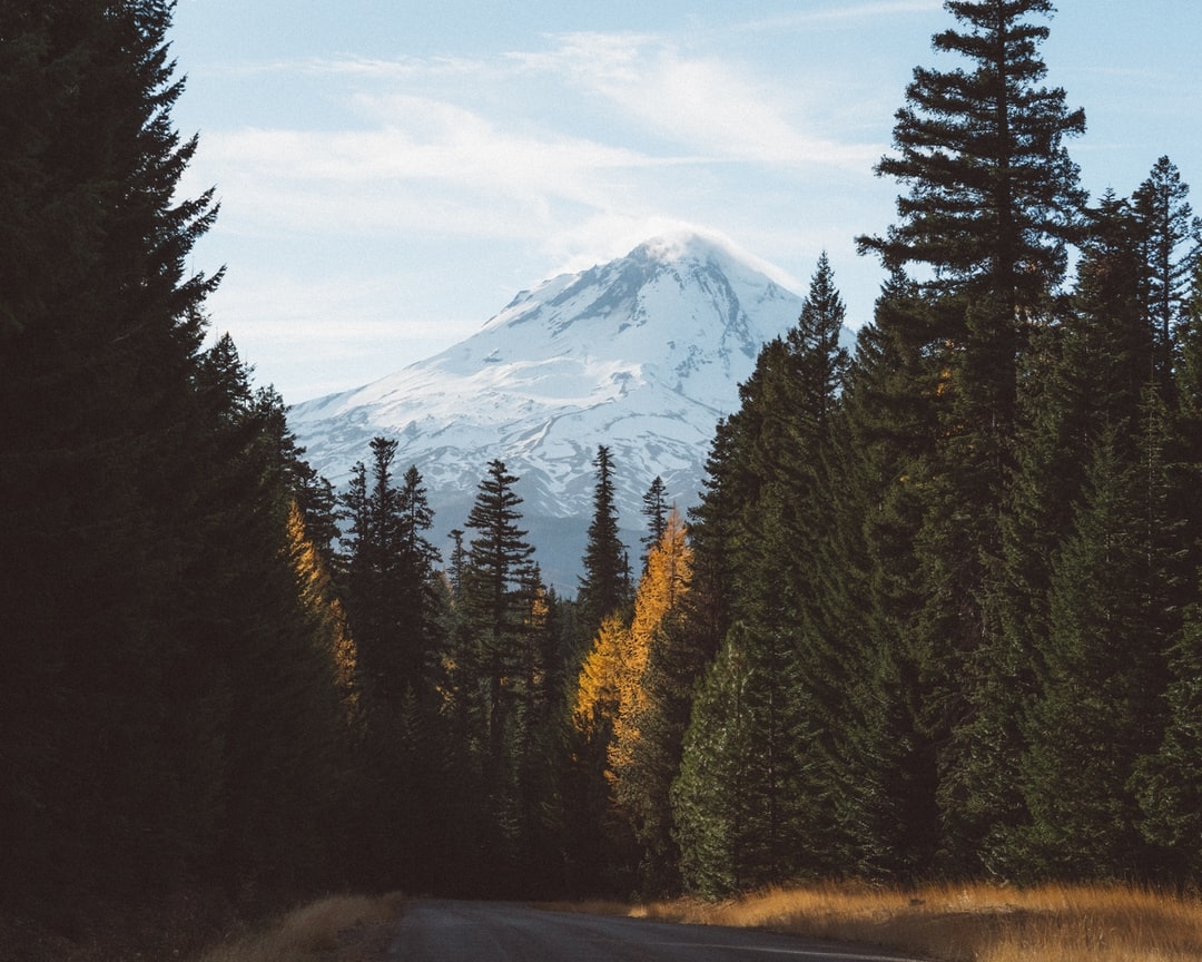 ShopLloydCenter's tweet photo. "Everyone is different; we all have our mountain to climb. The dizzy heights that leave people breathless can also, for some, exist at its base." 🌄 - James McInerey, The Poetry Project⁠
⁠
@poetryproject08 @millsmc07⁠
#thepoetryproject 

📸 Photo by adrian on Unsplash https://t.co/pqdl3B4wrI