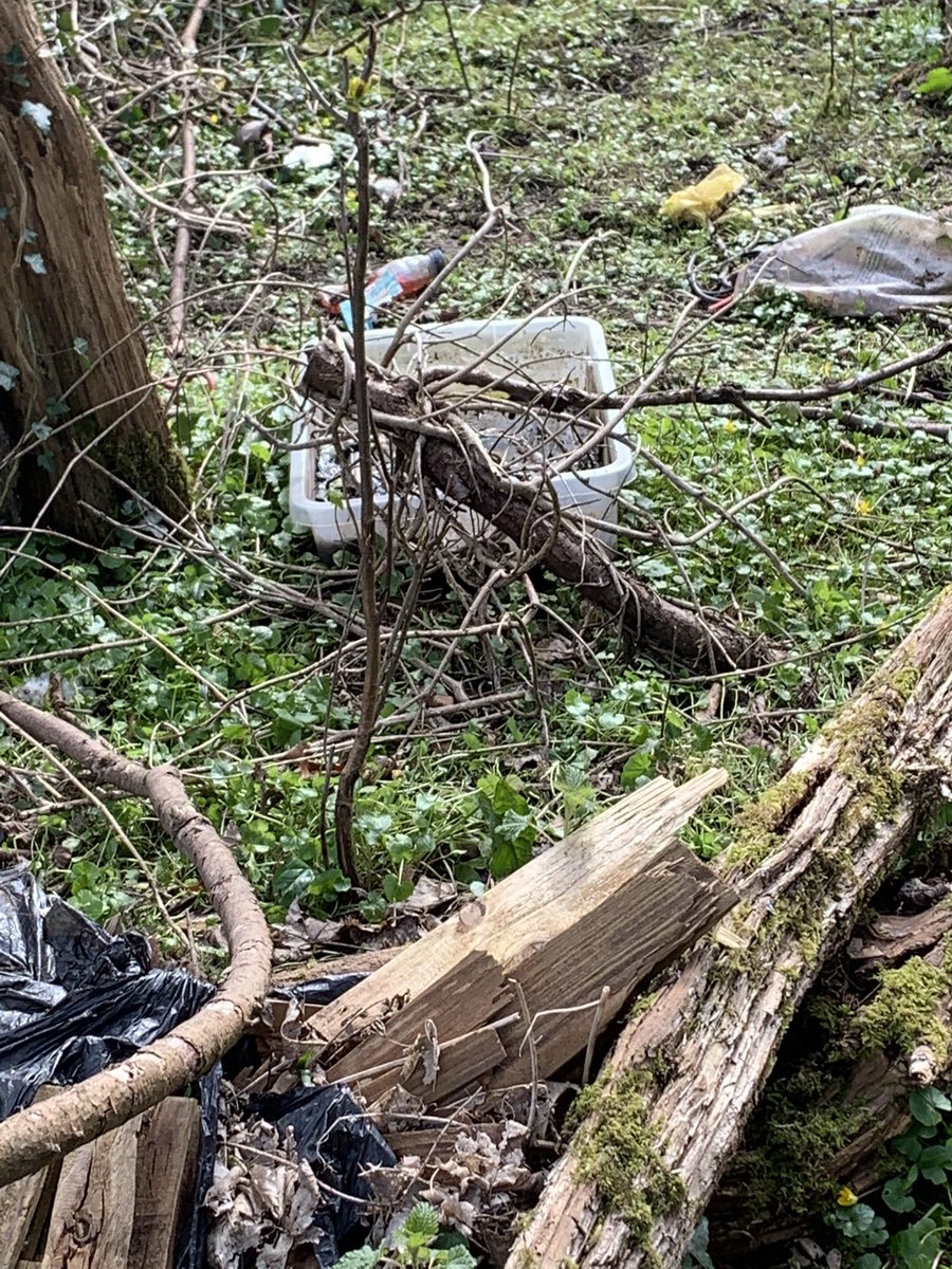 chaldonlibdems's tweet photo. Out and about with my leaflets and talking to Chaldon residents. Litter is an issue and this on Roffe’s Lane is an example of why. I will be pushing this issue hard #chaldon #tandridge #libdems https://t.co/ksAqsnvAdN