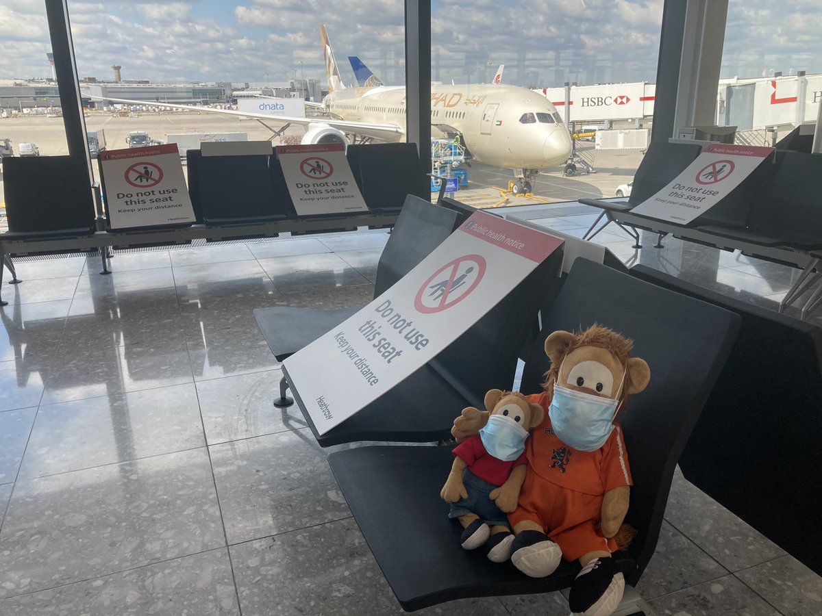 2 lions on the loose at <a href="/HeathrowAirport/">Heathrow Airport</a> #travelinglion