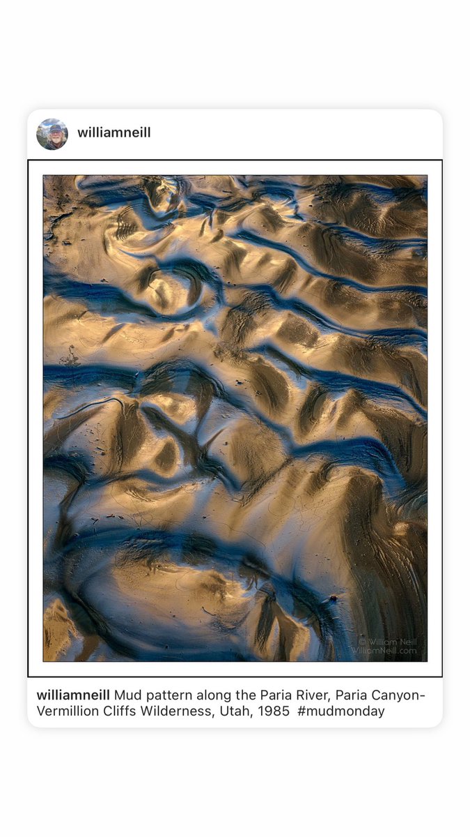 wgneill's tweet photo. Mud pattern along the Paria River, Paria Canyon-Vermillion Cliffs Wilderness, Utah, 1985  #mudmonday https://t.co/OHut6QmyrO