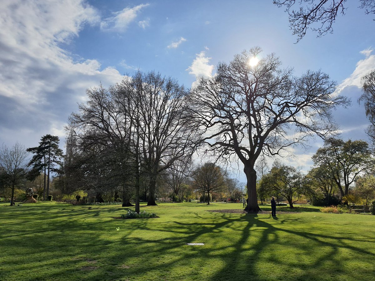 Naber bahar? #RHSGardenWisley