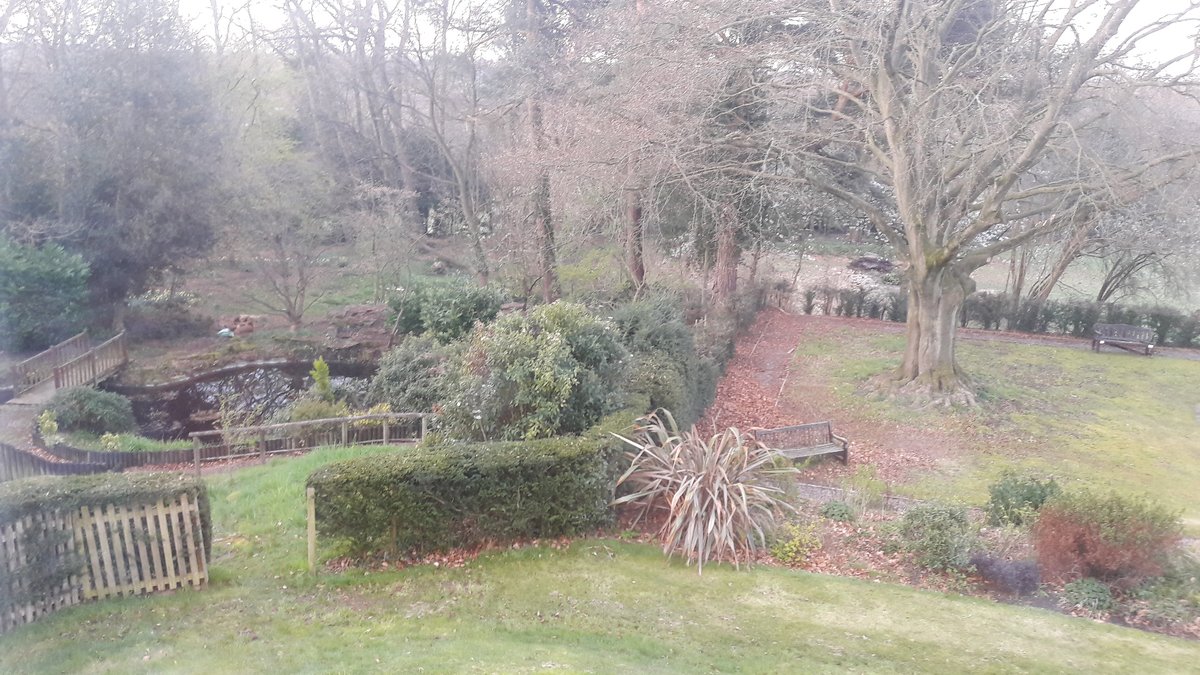 FircroftCollege's tweet photo. And we're back to what we do best. so nice to hear from one of our students, Dennis, currently on a course "I took these this morning. I normally take photos when I am here. My room was really comfortable". #returningtolearning https://t.co/JiiGWWrmSl