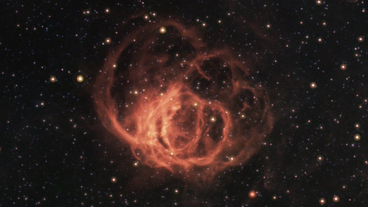 astronomia2016's tweet photo. WR 102 (V3893 Стрельца) – #звезда Вольфа-Райе или зарождающийся белый карлик? https://t.co/wFl0Px1m9Q 
#WR102​ #астрономия​ #астрофизика​ #наука​ #космос​ #V3893Стрельца​ #Стрелец​ #Sagittarius​ #star​ #astronomy​ #science​ #space​ #nebula​ #туманность​ #ЗвездаВольфаРайе https://t.co/AO5RUaNIAw