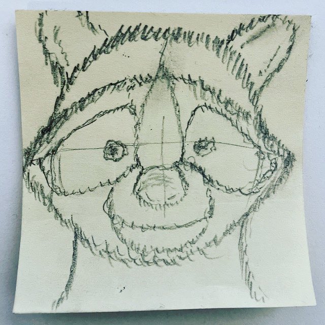 tierderwoche's tweet photo. Der Waschbär 
#tierderwoche #postitart #postit #stickyart #illustration #postitwar #düsseldorf #kunstindüsseldorf #arbeitenbeisipgate #homeoffice #zuhause #zuhausebleiben #stayathome #waschbär #racoon https://t.co/ZUKHxBjoIN