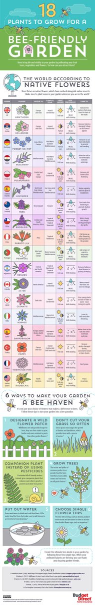 GreenTheGrid's tweet image. Planting a mix of native and introduced plants can help pollinators by extending the flowering season. 

Here's a handy chart of popular garden plants that pollinators particularly like.