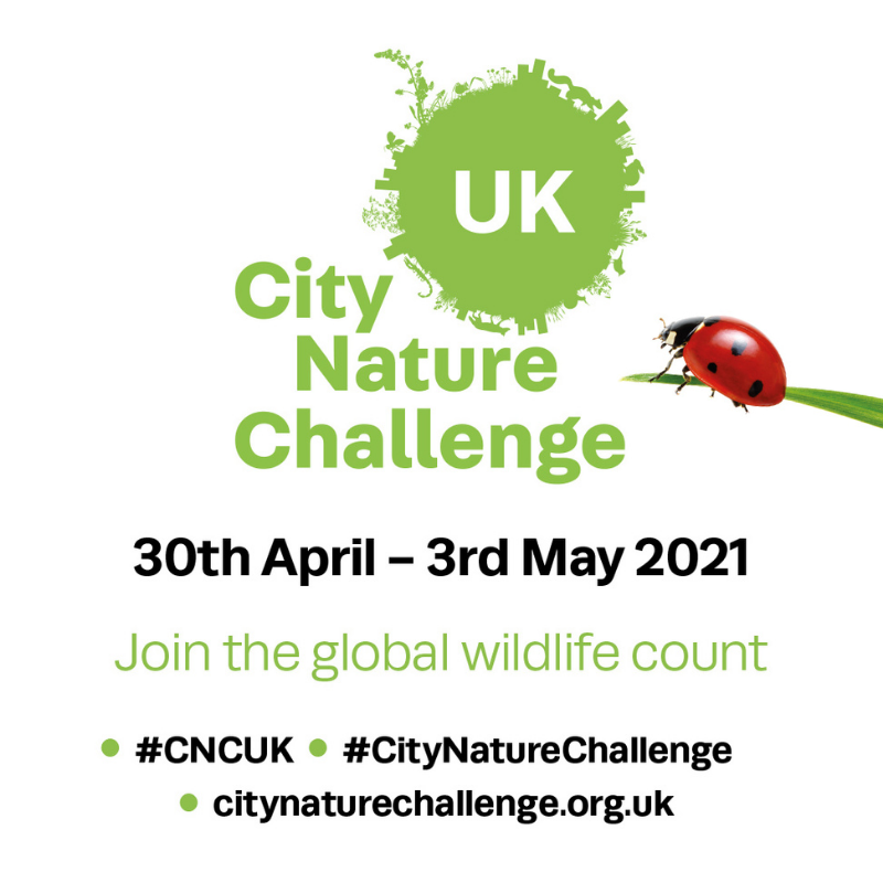 NBNTrust's tweet photo. #CityNatureChallenge is back (30 April-3 May) and needs your help to record the nature that is thriving in your local urban area. 
It's easy to take part and you don’t have to be an expert!
More: https://t.co/hPYpxy81jR
#CNCUK https://t.co/HqdYVMe3Rb